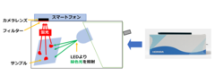 製品断面図