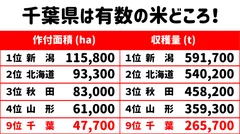 全国の作付面積と収穫量