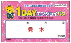 紙券フリーきっぷ「1DAYエンジョイパス」見本