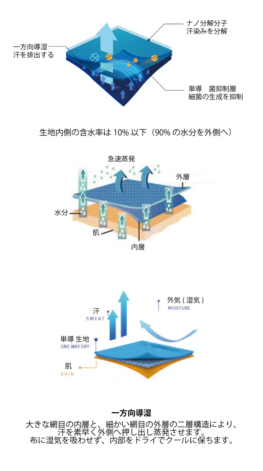 単導 イメージ図