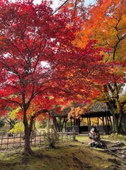 侍フォトコンテスト「小諸城址懐古園」