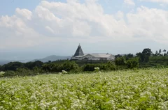 小諸は美味しい「そば」が育つ土地