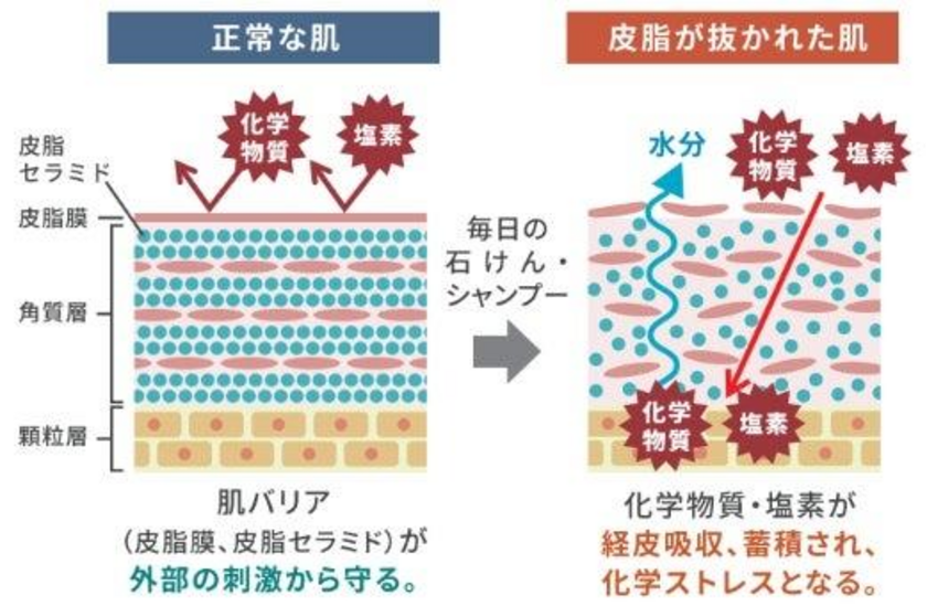 肌バリアイメージ