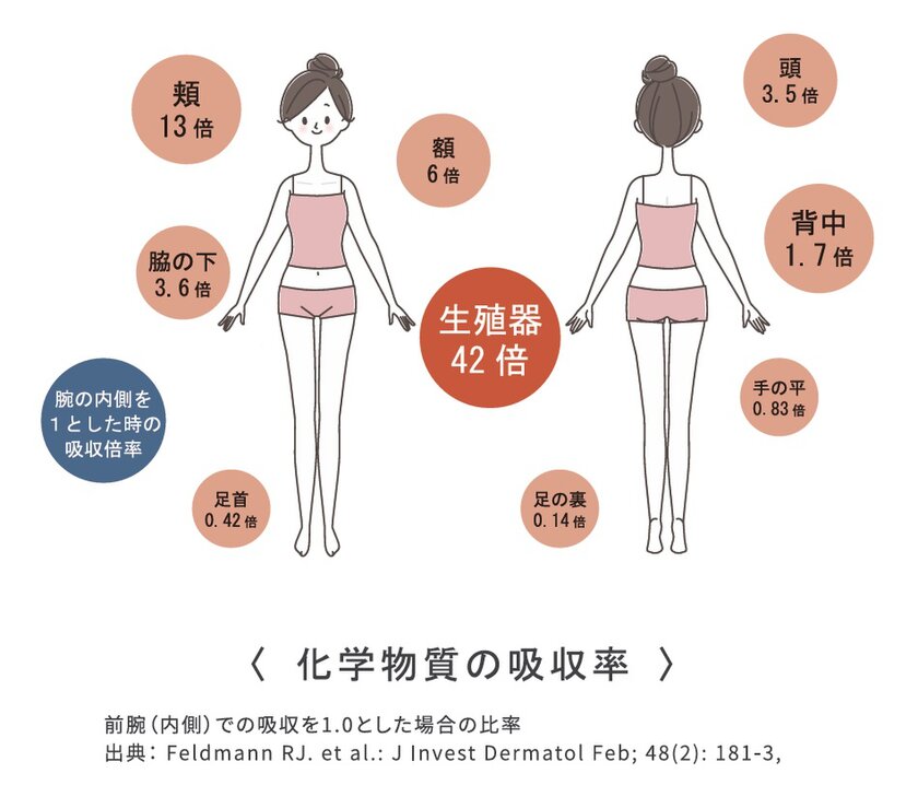 科学物質の吸収率