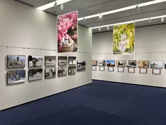 展示画像(2)