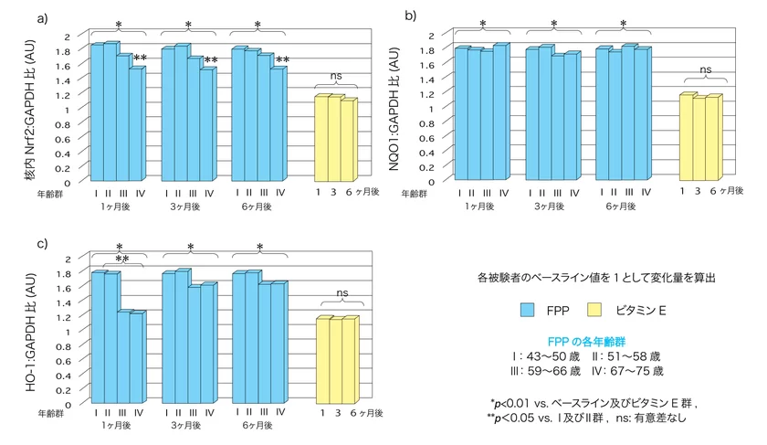 (図2)各年齢群におけるFPPによる核内Nrf2、NQO1、HO-1遺伝子発現量の変化