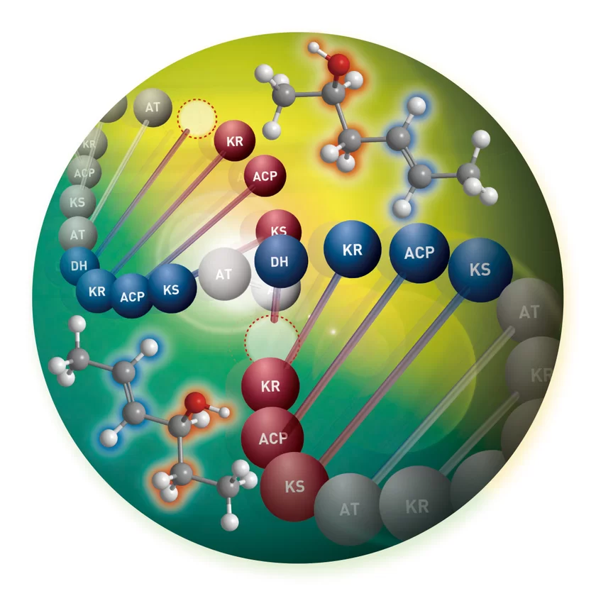 Angewandte Chemie表紙(理化学研究所 淡川孝義氏)