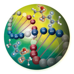 Angewandte Chemie表紙(理化学研究所 淡川孝義氏)