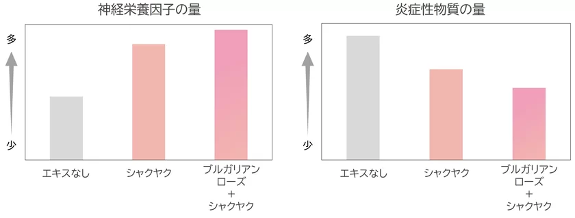 神経栄養因子の量／炎症性物質の量