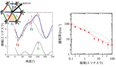 図1 β'-EtMe3Sb[Pd(dmit)2]2のESR線幅およびμSR緩和率の振る舞い