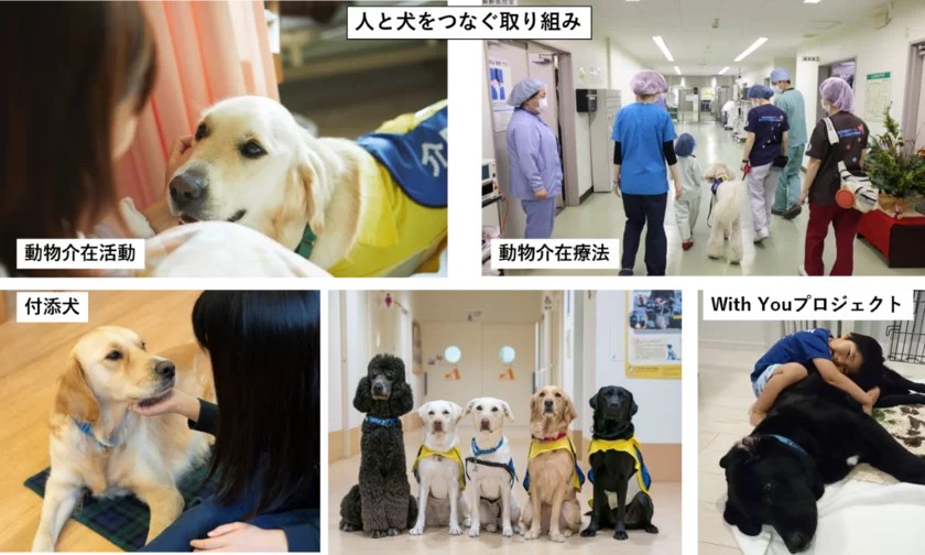 人と犬をつなぐ取り組み