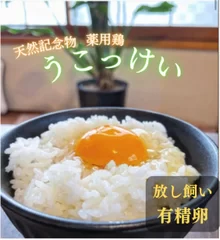 薬鳥うこっけいのたまごかけご飯