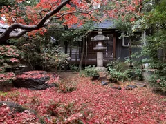 八竹庵の紅葉