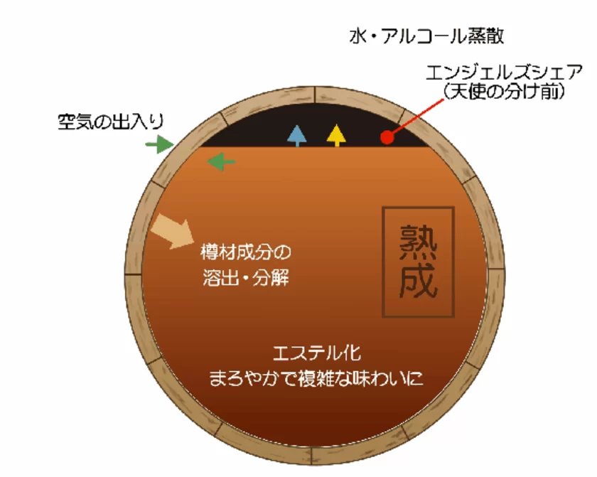 樽熟成でお酒が美味しくなる仕組み