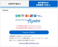 支払者サイト(Flywireの選択画面)