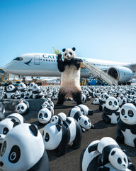 「PANDA GO! 香港遊」リアルパンダ スーツ