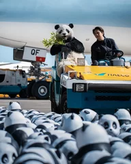 「PANDA GO! 香港遊」リアルパンダ スーツ