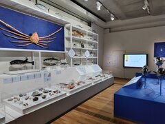 魚介類の展示(松本会場の様子)