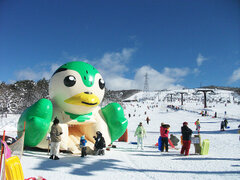 エリア最大級！広大な雪遊び広場