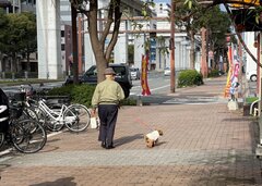 高齢者が犬と暮らすことによって