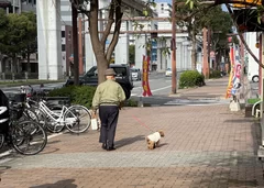 高齢者が犬と暮らすことによって