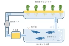 図解