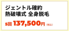 ジェントルシリーズ確約 熱破壊式医療脱毛 全身 5回コース