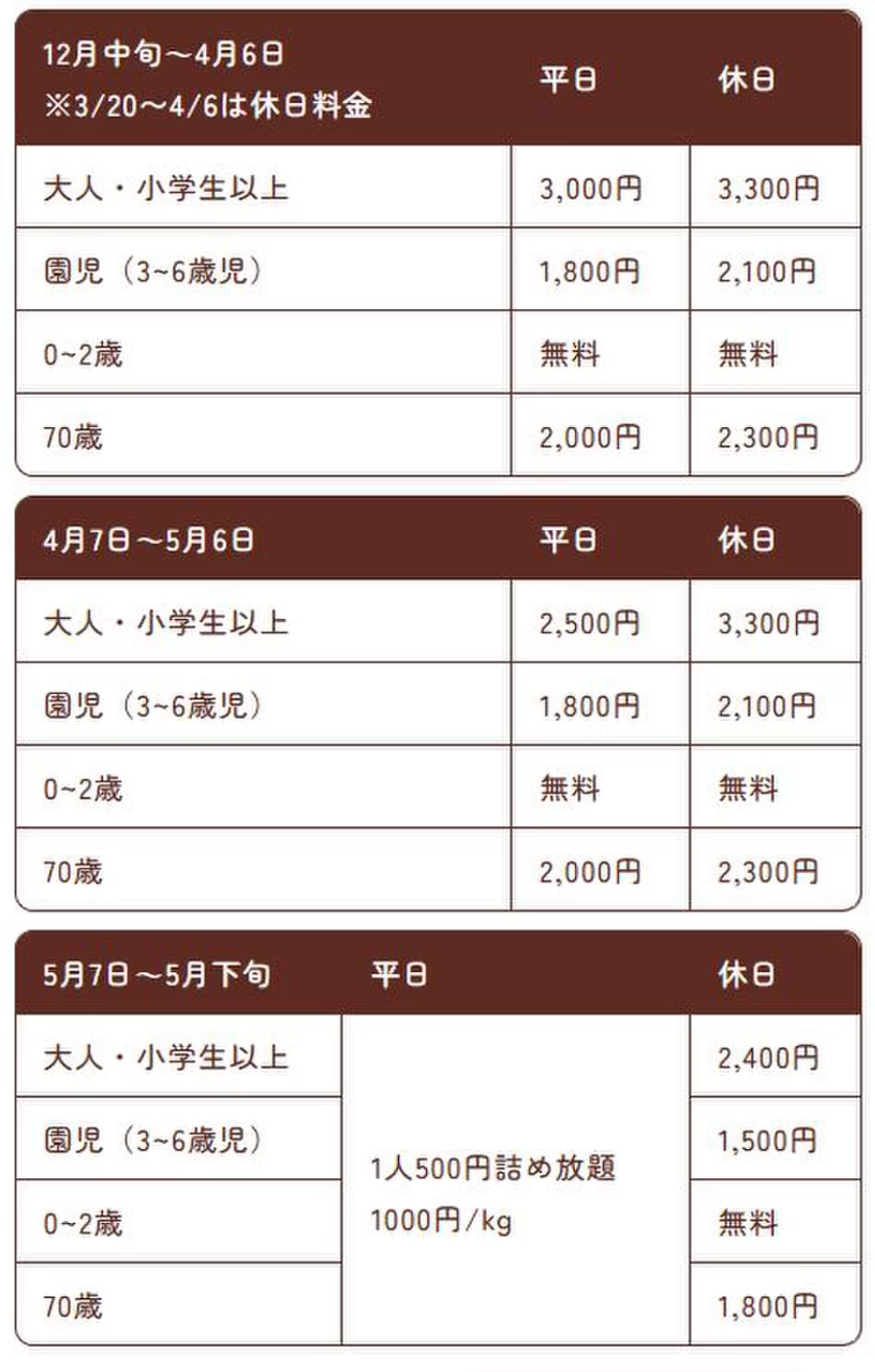 いちご狩り料金表