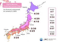 2025Cherry Blossom Flowering Forecast Map