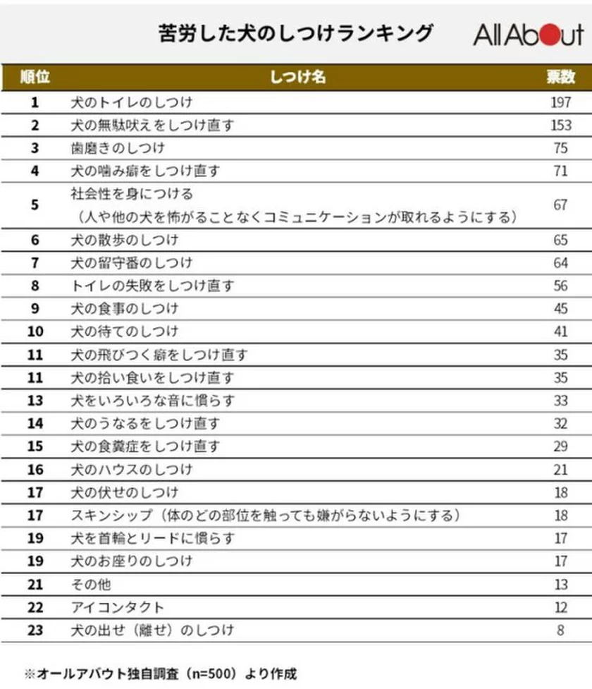 2023年の統計による犬のしつけに関する実態