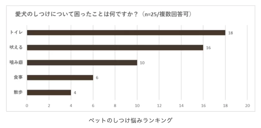 ペットのしつけ悩みランキング