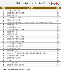 2023年の統計による犬のしつけに関する実態