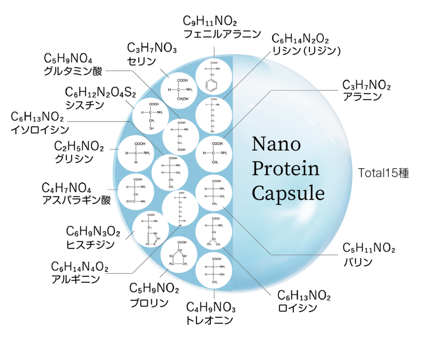 ナノプロテインカプセルイメージ