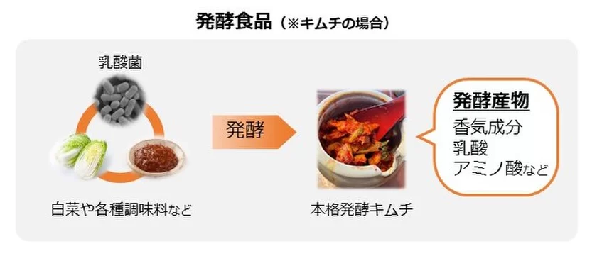 図1　発酵食品の発酵感が生じるイメージ