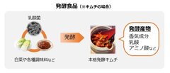 図1　発酵食品の発酵感が生じるイメージ