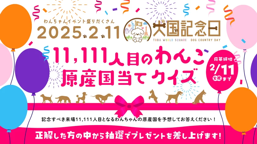 11,111人目のわんこ 原産国当てクイズ