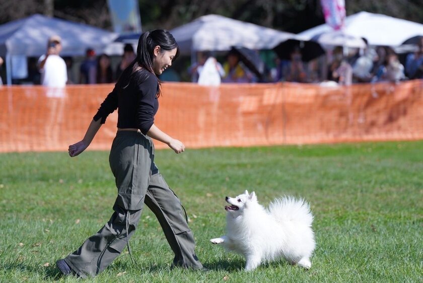 犬のしつけ専門ぽぽハウス ドッグダンスショー(1)