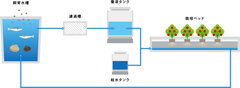 「アクアポニックス」の仕組み