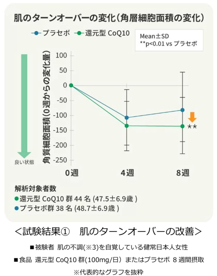 ＜試験結果(1)　肌のターンオーバーの改善＞