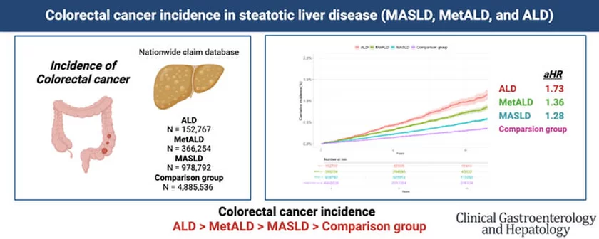 Colorectal Cancer Incidence in Steatotic Liver Disease