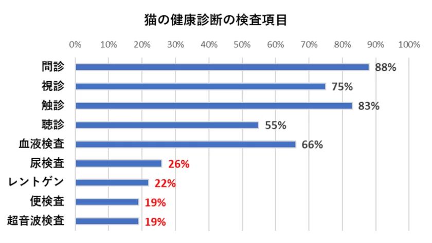 猫の健康診断の検査項目