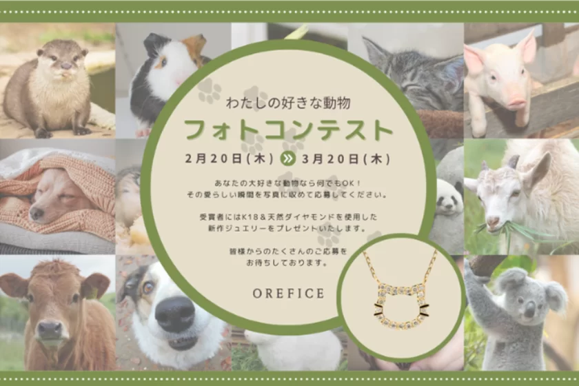 「わたしの好きな動物」フォトコンテスト