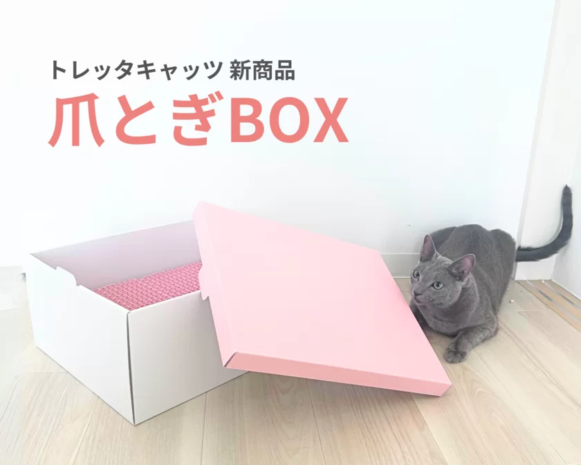 新商品 爪とぎBOX販売開始