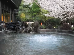 露天風呂「もみじの湯」桜の花見露天