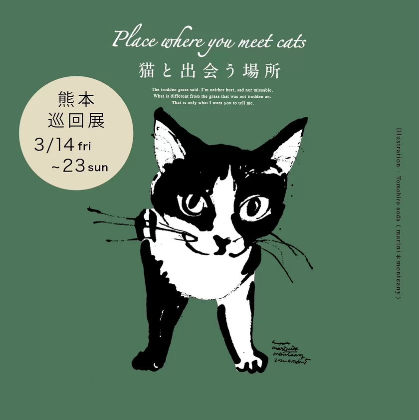 Place where you meet cats ～猫と出会う場所～ 熊本巡回展