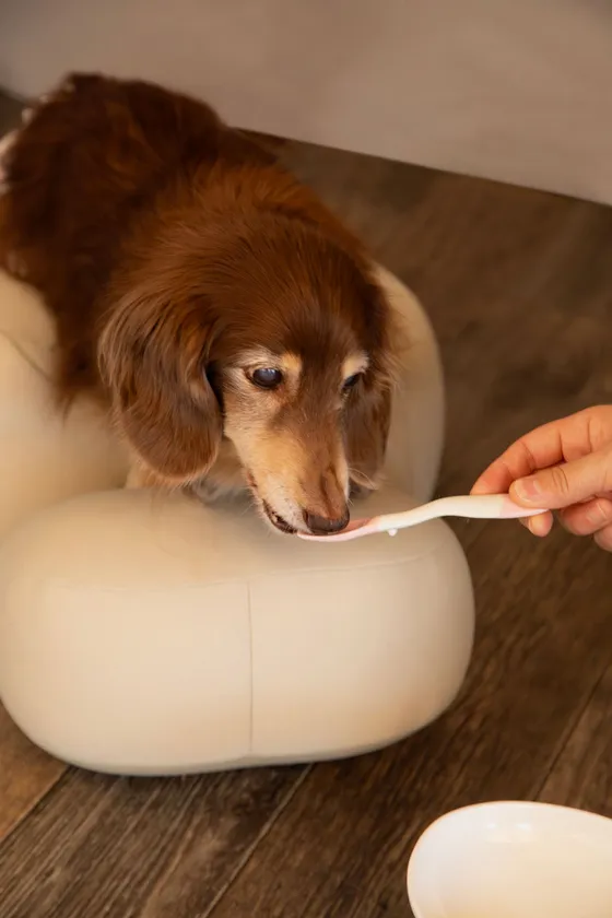 食事の様子