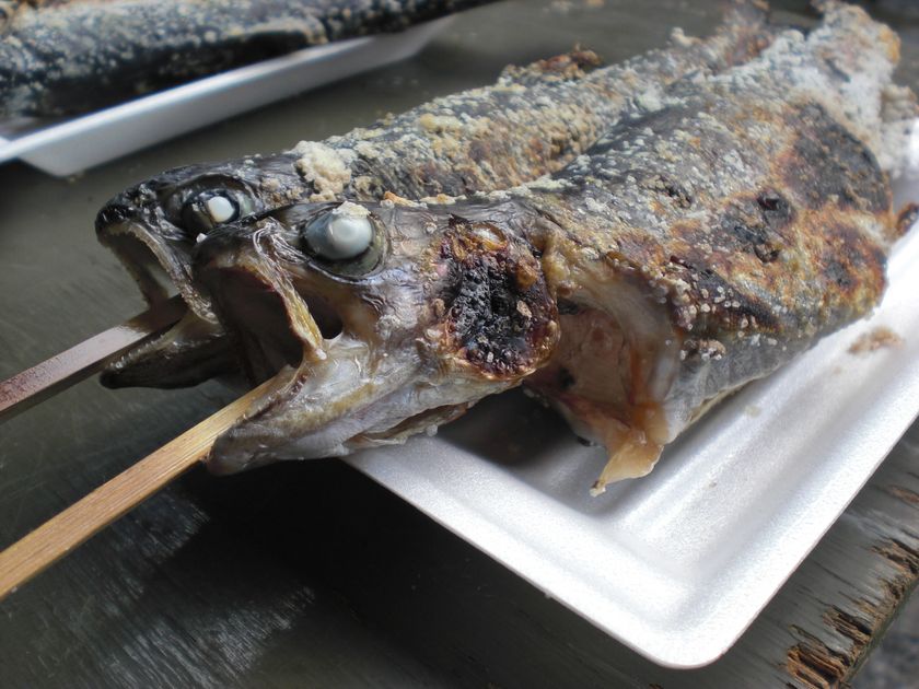 釣った魚はすぐにおいしい塩焼きでいただけます