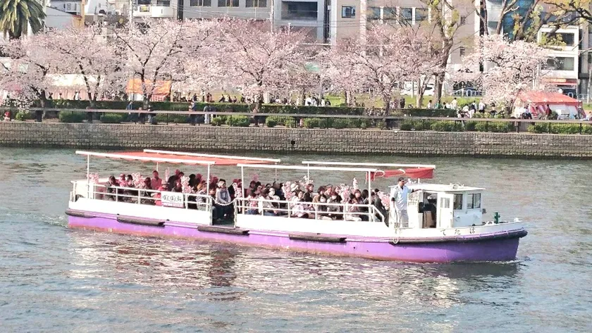 大川桜クルーズイメージ