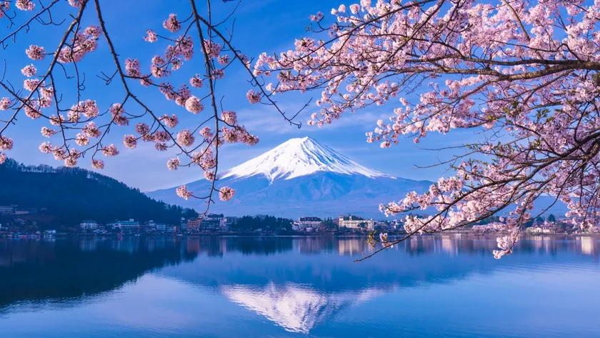 富士山と河口湖と桜の風景