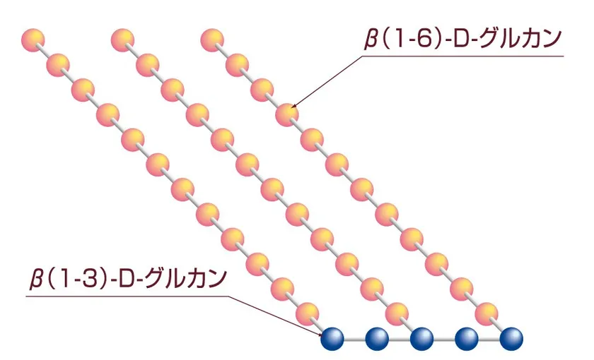 アガリクスに含まれるβ-グルカンの構造式